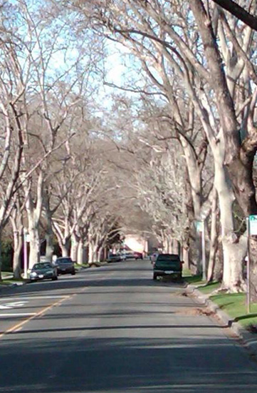 Area Image