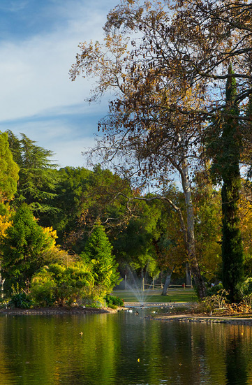 Area Image